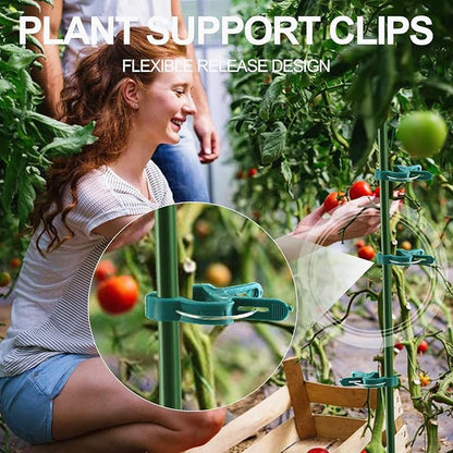 80 Pcs Plant Support Clips,Flower and Vine,Garden Tomato Plant Support Clips for Supporting Stems,Vines Grow Upright Climbing,Tool for Straightening,Tomato Cage,Trellis. 2 Sizes in one Pack