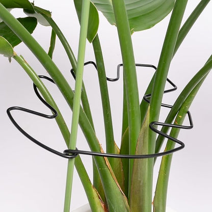 5PCS Black Monstera Plant Stem Support 9x7.6in - Adjustable & Durable Indoor Plant Stake for Cactus and Climbing Plants - Ideal Leaf Support for Gardening & Home Decor