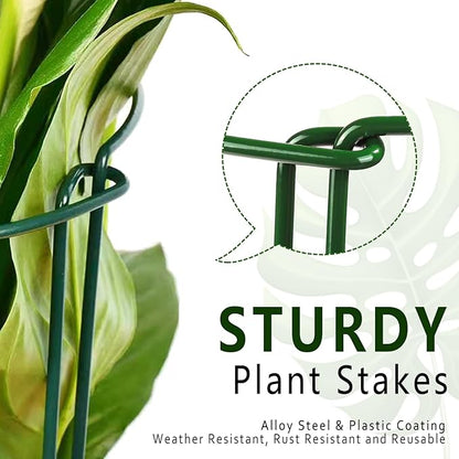 6 Pack Plant Support Stakes, 15.8" Half Round Metal Garden Plant Supports for Indoor Plants, Green Plant Cage Ring for Monstera, Peony, Hydrangea, Potted Plant Holder Sticks (10" Wide)