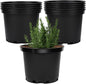 GREANER 2 Gallon Nursery Pots for Plants, 10 PCS Plastic Plant Pot with Drainage Holes for Indoor Outdoor, Garden, Greenhouse(Black)