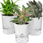 KIMCHOMERSE Self Watering Plant Pots, 6 Inch Orchid Pots, 3 Pack Flowers Pot Indoor Planter Pots with Tray for Spider Plant, Orchid, African Violet -White