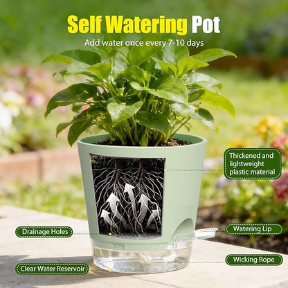 Plant Pots 6 Inch Self Watering Pots,6 Pack Plastic Planters with Drainage Holes and Clear Saucers,Plastic Flower Pots,Nursery Planting Pot for Indoor Out Door Plants (Green)