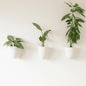 Make Good PlantPod Luxe Self-Watering Wall Planters (Set of 3) - Easy to Water and Install - Lightweight - Design Your Own Vertical Garden - Wall Planters for Indoor Plants