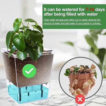 Self Watering Pots Set, 3 Pack 5/4.1/2.7 Inch Self Watering Pot for Indoor Plants, Clear Flowers Pot Planter with Deep Reservoir for Spider Plant, Orchid, African Violet