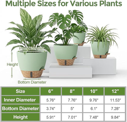 Plant Pots, 12" 10" 6" 8" Inch Self Watering Pots with Water Level Indicator, Set of 5 Flower Pots Indoor with Drainage Holes, Modern Planters for Indoor Outdoor Plants, Room & Office Décor