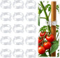 100pcs Tomato Clips for Climbing plants, Plastic Trellis Plant Support Clips for Garden, Reusable Clips for Supporting Grape Tomato Vine and Vegetables Plants to Grow Upright Makes Plants Healthier