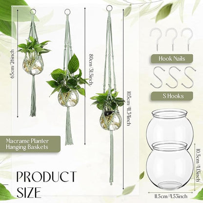 6 Pcs Plastic Plant Propagation with Boho Macrame Hanger Wall Plant Propagation Station Hanging Holder Include Hooks Kit for Indoor Home Garden Office Decor 3 Size (Sage Green)