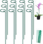 FEED GARDEN 24 Inch 12 Pack Plant Support Stakes, Metal Garden Flower Stakes and Supports for Outdoor Plants, Plant Stem Support with 24 Twist Ties for Amaryllis Lily Rose Peony Tomatoes Gladiolus
