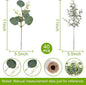 Artificial Eucalyptus Greenery Stems, 40 Pcs Silver Dollar and Baby Leaf Mix