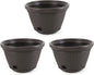 Suncast 3 Pack Decorative Wicker Garden Hose Holder Pot with 4 Drain Holes for 100 Foot Hoses, Java