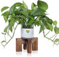 Plant Stand, Indoor/Outdoor Wood Plant Holder, Single Flower Pot Stand, Sturdy Planter Stands (Walnut, Fit 2.5-6 inch pots)