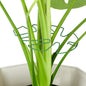 10PCS Iron Monstera Plant Support, Uniquely Designed Indoor Plant Accessories, Stable Plant Support Stakes for Indoor Plant, Turtle Shell Bamboo Clamp Set for Thriving Growth