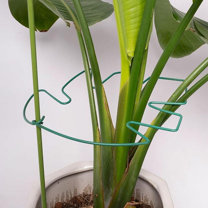 5PCS Monstera Plant Support Stem 9 x 7.6 in- Durable Stabilizer Set for Indoor Climbing Plants, Holders for Enhancing Growth, Ideal Gift for Plant Lovers, Fishbone Cactus Stake Garden Tool