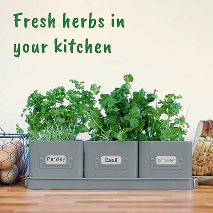 volila Herb Planter Indoor - Set of 3 Grey Indoor Herb Garden Pots for Plants with Leather Handled Tray - Window Sill Plant Shelf - Herb Pots with Drainage Holes and Labels