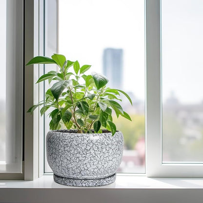 SQOWL Ceramic Planters - 10 Inch Ceramic Flower Pot with Drainage Hole and Saucer, Decorative Plant Pot Indoor, Round Large Planter Outdoor, Bathroom Decor, Gifts for Plant Lovers, Black and White