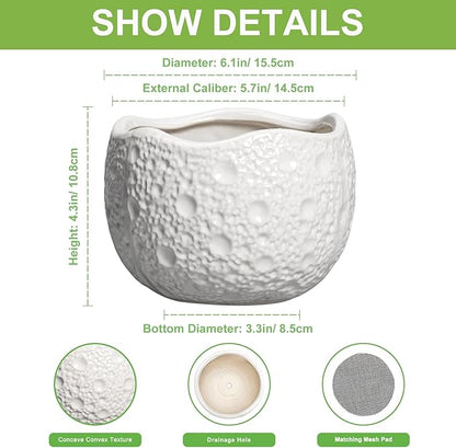 Ceramic Pots for Plants - 6 Inch Plant Pot for Indoor Outdoor, Decorative Orchid Pots with Drainage Hole, Unique Round Modern Planters, Home Decor, Gifts for Plant Lovers, White