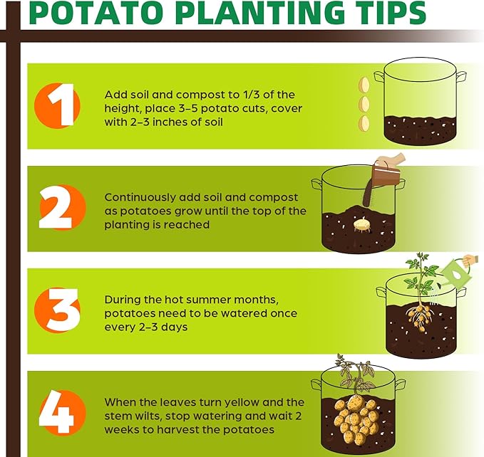5 Pack 2 Gallon Grow Bags, Thickened Nonwoven Fabric Planter Pots with Handles, Heavy Duty 300G Garden Pots for Tomato, Potato and Vegetable