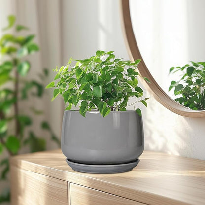 G EPGardening Modern Ceramic Planter - 7 Inch Round Modern Plant Pot Indoor with Drainage and Ceramic Tray Indoor Outdoor for Flower, Vanity Decor, Birthday Gifts, Grey