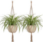 EBOOT 2 Pack 33 Inch Large Macrame Plant Hanger Rope to Hang Flower Pot Plant Holder for Indoor Outdoor Decorations, 4 Legs (Linen Color)