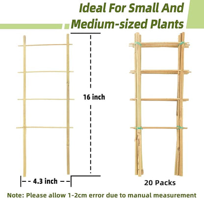 Avalution 20 Pack Bamboo Trellis for Climbing Plants Indoor, 16 Inch Garden Ladder Trellis for Potted Plants, Fan-Shaped Small Plant Support Trellis for Houseplants Ivy Hoya Vine Monstera