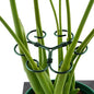 4PCS Green Iron Monstera Support, Uniquely Designed Plant Support Stakes for Indoor Plants, Stable Plant Stakes and Supports, Turtle Shell Bamboo Clamp Set for Thriving Growth