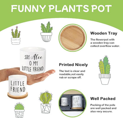 Say Aloe to My Little Friend Planter Pot, Funny Plant Pots, Aloe Plant Pot Succulent Pots with Tray Set of 2 Flower Pots Indoor Pot - Without Plants, Office Home Windowsill Gifts (No Plant)