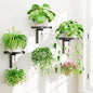 iDavosic.ly Wall Plant Holder Set of 3 for Indoor Outdoor, Metal Hanger with 3 Hooks, Floating Flower Display Stand for Window, Space Saving & Easy to Assemble (Pots/Chains/Plants Not Included)