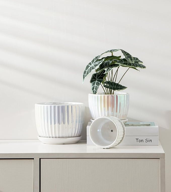 Ton Sin White Plant Pots,Pearl Gold Ceramic Flower Pots 4"+5"+6" Inch Indoor Succulent Pot with Drainage Hole - Decorative Orchid Pots and Herb Pots Set of 3