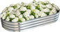 Galvanized Raised Garden Bed Outdoor, Large Raised Bed for Gardening, 6x3x1ft Oval Metal Planter Box for Vegetables, Fruits, Flowers, Silver
