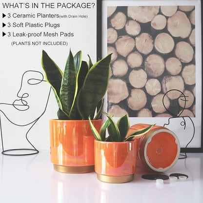 Gepege Ceramic Indoor Pots for Plants, Rainbow Pearl Glaze Planter with Drainage Hole, 6.0 inch+5.0 Inch+4.0 Inch. Orchid Flower Pots