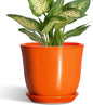 5.6 Inch Plant Pot - Ceramic Pots for Plants Indoor Outdoor, Succulent Pot with Drainage Hole and Saucer, Round Modern Flower Pots, Garden Home Room Decor, Gifts for Plant Lovers, Orange