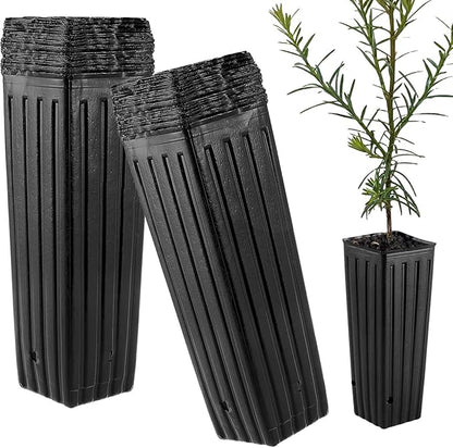 DredQcco Tall Deep Tree Pot, 50Pcs Plastic Plant Seedling Treepots Tall Flower Plant Container Starting Pots with Drainage Holes Flower Container for Indoor Outdoor Garden Plants 9.8" H x 4.7" W