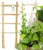 Avalution 5 Pack Bamboo Trellis for Climbing Plants Indoor, 16 Inch Garden Ladder Trellis for Potted Plants, Fan-Shaped Small Plant Support Trellis for Houseplants Ivy Hoya Vine Monstera