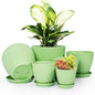 Plant Pots Indoor with Saucers & Drainage - 6 Pack Flower Pots - Plastic Planters for Indoor Planter - 7.5/6.6/5.8/5.0/4.3/3.5 inches Sizes for All Different Types of Plants-Light Green