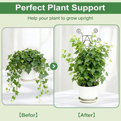 Indoor Plant Trellis for Climbing Plants 2 Pack Small Garden Metal Support for Potted Plants Flowers Houseplants for Outdoor