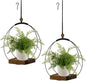 2 Pack Hanging Planter for Indoor Plants, Black Plant Hanger with Sturdy Wood Base, Modern Boho Macrame Hanger, Wall Ceiling Window Planter (Plants/Pots Not Included)