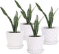 Plant Pots - 5.5 Inch Cylinder Ceramic Planters with Connected Saucer, Pots for Succuelnt and Little Snake Plants, Set of 4, White