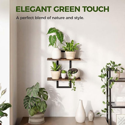 Bamworld Wall Planters for Indoor Plants Window Plant Shelves Vertical Plant Holder Wall Decor Plant Stand Indoor Floating Shelves for Plant Hangers for Living Room Bedroom Bathroom