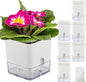 Planterhoma Self Watering Plant Pots for Indoor Plants 4.3 inch, 6 Packs Square Self-Watering Planters with Drainage Hole, White African Violet Pots for Devil's Ivy, Spider Plant, Orchid, Herb