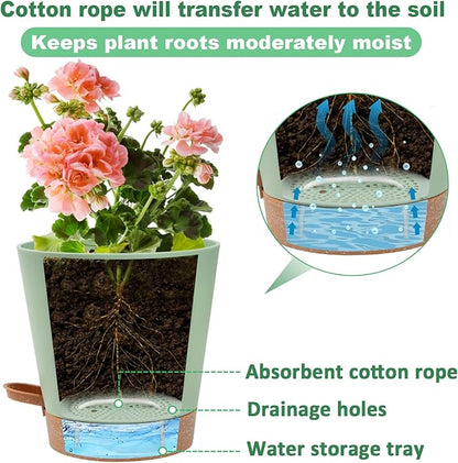 Aulock 6in Self Watering Pots for Indoor Plants - 3pcs Bottom Watering African Violet Planters with Drainage, Plastic Houseplant Flower Pots for Snake Plant Succulent Garden Live Plants