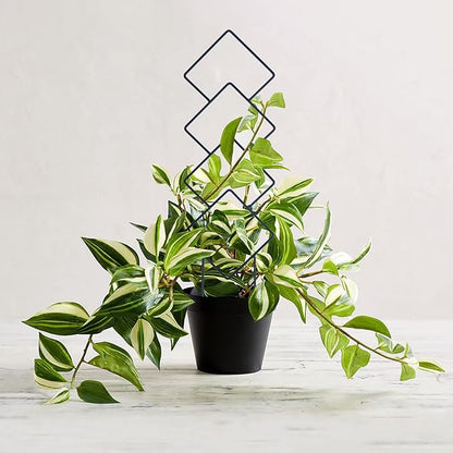 Indoor Plant Trellis for Climbing Plants, 16inch Small Garden Metal Trellis for Potted Plants Outdoor with Different Patterns for Vine Ivy Flower Plant Support 4 Pack