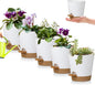 5 Pack 5 inch Self-Watering Pots, African Violets Planter with Drainage Holes and Reservoir, White Brown Plastic Planter for Indoor Outdoor Plants Flowers and Houseplants White Brown, 5 inch 5 pcs