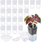 LemonRoad 20 Pack 2.5" Small Self Watering Pots for Indoor Plants with 20 Plant Label Mini Clear Plastic Planters with Water Level and Drainage Holes for Propagation, Succulents, and African Violet