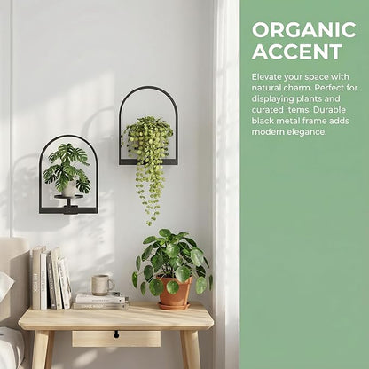 2 Pack Plant Stand Indoor Outdoor Hanging Planters for Indoor Plants Wall Plant Holder for Indoor Plants Plant Frames Wall Decor for Livingroom Bedroom Balcony Patio