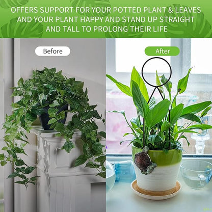 4 Pcs Small Metal Trellis for Potted Plants,Gold Trellis for Climbing Plants Indoor,Mini Trellis for Potted Plant Support Stake House Plant Trellis for Garden Potted,Hoya,Pothos,Flower,Monstera(Black)