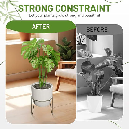 4PCS Green Iron Monstera Support, Uniquely Designed Plant Support Stakes for Indoor Plants, Stable Plant Stakes and Supports, Turtle Shell Bamboo Clamp Set for Thriving Growth