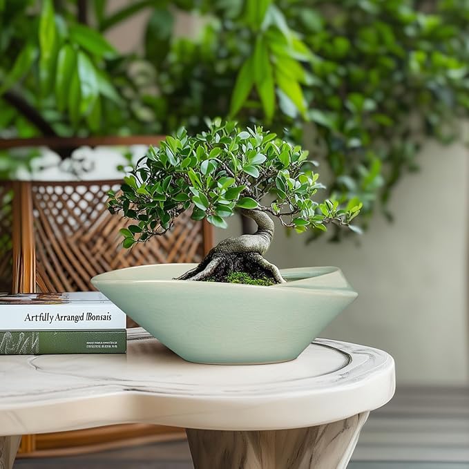 Planter Pot, 12 Inch Ceramic Bonsai Style with Drainage Hole and Mesh Pad