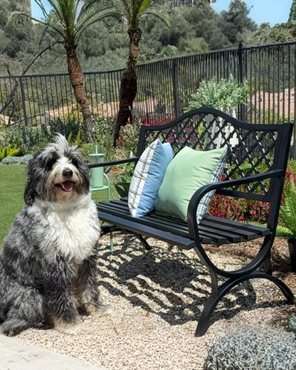 PHI VILLA 50" Outdoor Garden Patio Metal Bench for Outdoors with Plastic Backrest Armrests Sturdy Steel Frame, Black
