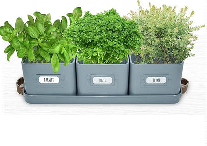 volila Herb Planter Indoor - Set of 3 Teal Blue Indoor Herb Garden Pots for Plants with Leather Handled Tray - Window Sill Plant Shelf - Herb Pots with Drainage Holes and Labels