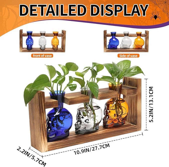 Terrarium Propagation Station Set, Skull Glass Vases with Wood Stand, 3 Pieces